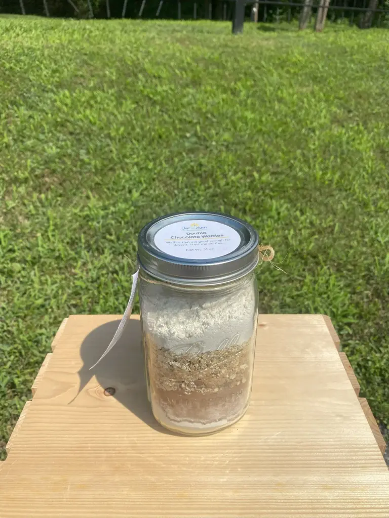 Double Chocolate Waffles