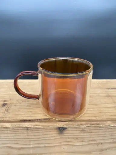 Double Walled  Borosilicate Glass Mug